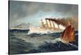 Stretched Canvas Print