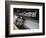 The New York City Subway.-Jon Hicks-Framed Photographic Print