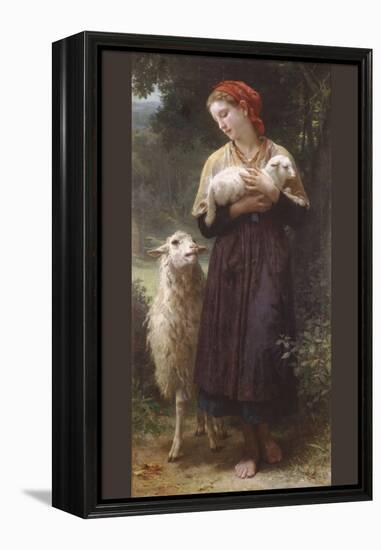 The Newborn Lamb-William Adolphe Bouguereau-Framed Stretched Canvas