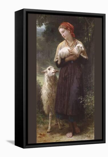 The Newborn Lamb-William Adolphe Bouguereau-Framed Stretched Canvas