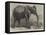 The Newly-Imported African Elephant at the Gardens of the Zoological Society, Regent's Park-Friedrich Wilhelm Keyl-Framed Premier Image Canvas
