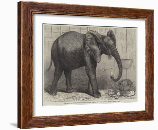 The Newly-Imported African Elephant at the Gardens of the Zoological Society, Regent's Park-Friedrich Wilhelm Keyl-Framed Giclee Print