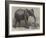 The Newly-Imported African Elephant at the Gardens of the Zoological Society, Regent's Park-Friedrich Wilhelm Keyl-Framed Giclee Print