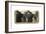 The Niagra Falls, from Prospect Point to Horseshoe Falls, Late 19th Century-null-Framed Giclee Print