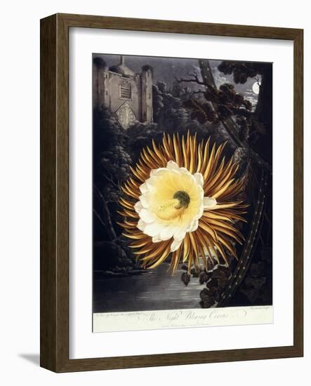 The Night Blowing Cereus, 1800-Philip Reinagle-Framed Giclee Print