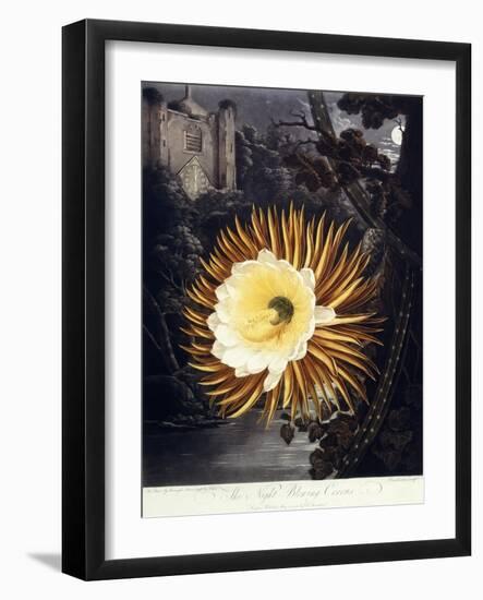 The Night Blowing Cereus, 1800-Philip Reinagle-Framed Giclee Print