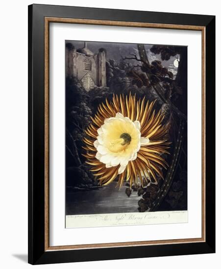 The Night Blowing Cereus, 1800-Philip Reinagle-Framed Giclee Print