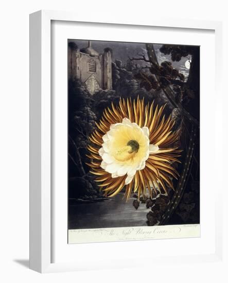 The Night Blowing Cereus, 1800-Philip Reinagle-Framed Giclee Print