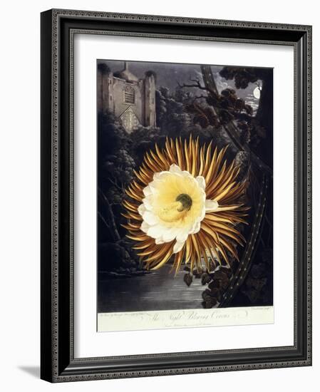 The Night Blowing Cereus, 1800-Philip Reinagle-Framed Giclee Print