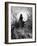 The 'Night-Mare Life-In-Death' Plays Dice with Death for the Souls of the Crew-Gustave Doré-Framed Giclee Print