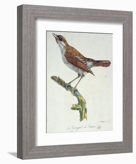 The Nightingale of France, C.1830-Paul Louis Oudart-Framed Giclee Print