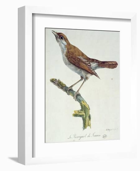 The Nightingale of France, C.1830-Paul Louis Oudart-Framed Giclee Print