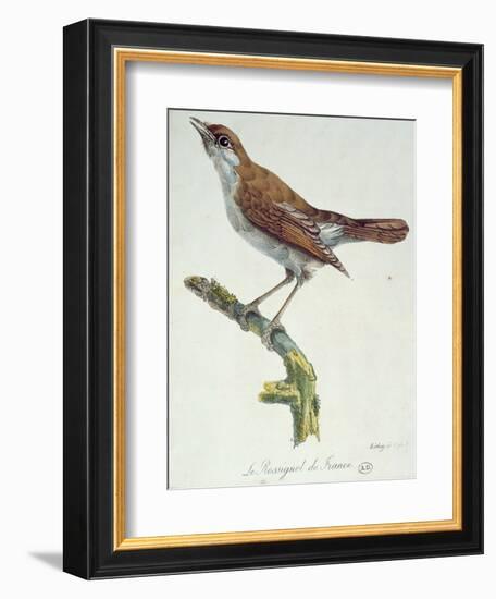 The Nightingale of France, C.1830-Paul Louis Oudart-Framed Giclee Print