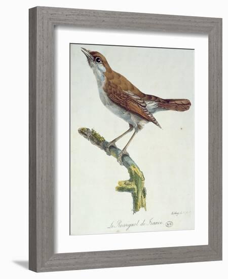 The Nightingale of France, C.1830-Paul Louis Oudart-Framed Giclee Print