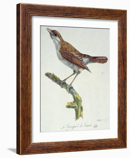 The Nightingale of France, C.1830-Paul Louis Oudart-Framed Giclee Print