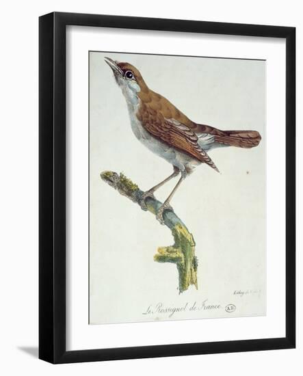 The Nightingale of France, C.1830-Paul Louis Oudart-Framed Giclee Print