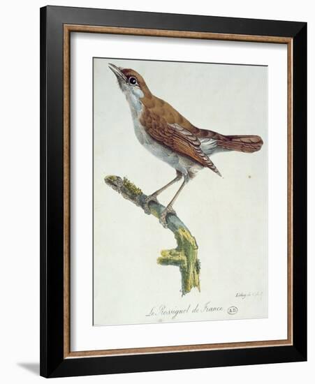 The Nightingale of France, C.1830-Paul Louis Oudart-Framed Giclee Print