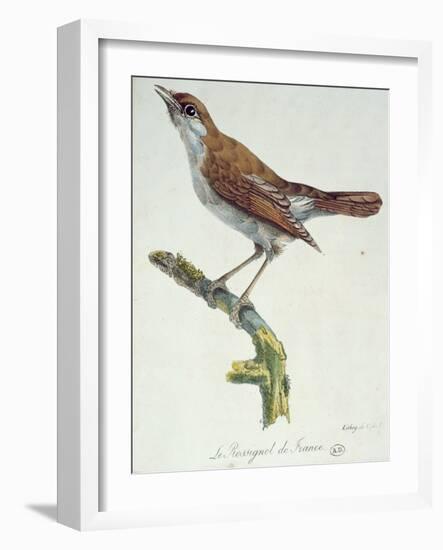 The Nightingale of France, C.1830-Paul Louis Oudart-Framed Giclee Print