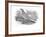 The Nightingale-Thomas Bewick-Framed Giclee Print