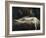 The Nightmare-Henry Fuseli-Framed Giclee Print