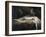 The Nightmare-Henry Fuseli-Framed Giclee Print