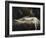 The Nightmare-Henry Fuseli-Framed Giclee Print