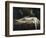 The Nightmare-Henry Fuseli-Framed Giclee Print