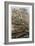 The Nile Crocodile by Alfred Edmund Brehm-Stefano Bianchetti-Framed Giclee Print