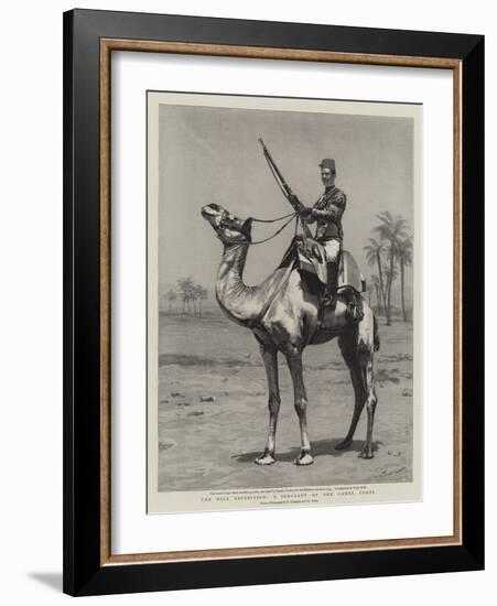 The Nile Expedition, a Sergeant of the Camel Corps-null-Framed Giclee Print