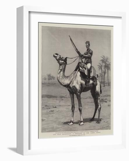 The Nile Expedition, a Sergeant of the Camel Corps-null-Framed Giclee Print