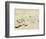 'The Nimrod at Pram Point on March 4, 1909'-Unknown-Framed Photographic Print