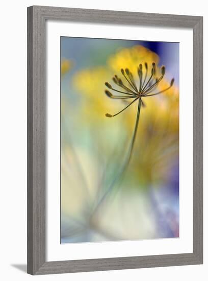 The Node II-Heidi Westum-Framed Photographic Print