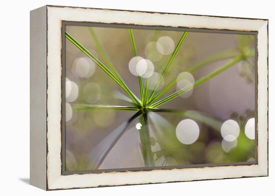 The Node-Heidi Westum-Framed Premier Image Canvas