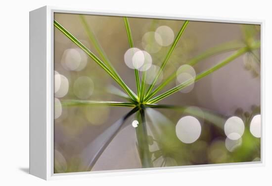 The Node-Heidi Westum-Framed Premier Image Canvas