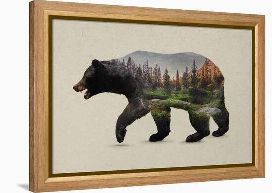 The North American Black Bear-Davies Babies-Framed Stretched Canvas