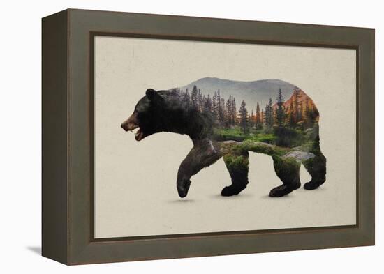 The North American Black Bear-Davies Babies-Framed Stretched Canvas