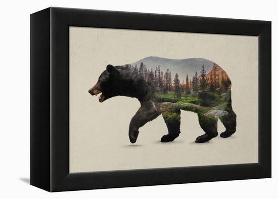 The North American Black Bear-Davies Babies-Framed Stretched Canvas