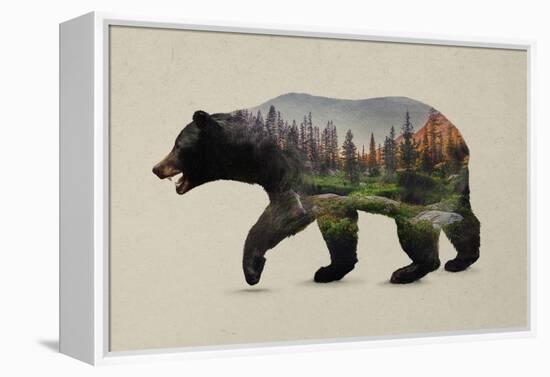 The North American Black Bear-Davies Babies-Framed Stretched Canvas