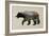 The North American Black Bear-Davies Babies-Framed Art Print