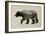 The North American Black Bear-Davies Babies-Framed Art Print