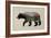 The North American Black Bear-Davies Babies-Framed Art Print