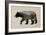 The North American Black Bear-Davies Babies-Framed Art Print