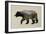 The North American Black Bear-Davies Babies-Framed Art Print