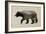 The North American Black Bear-Davies Babies-Framed Art Print