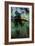 The North American Bullfrog, Rana Catesbeiana-David Nunuk-Framed Photographic Print