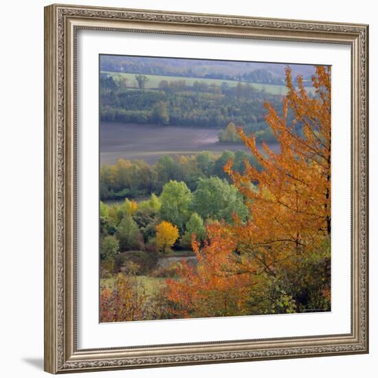 The North Downs, Near Dorking, Surrey, England, UK, Europe-Roy Rainford-Framed Photographic Print