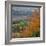 The North Downs, Near Dorking, Surrey, England, UK, Europe-Roy Rainford-Framed Photographic Print