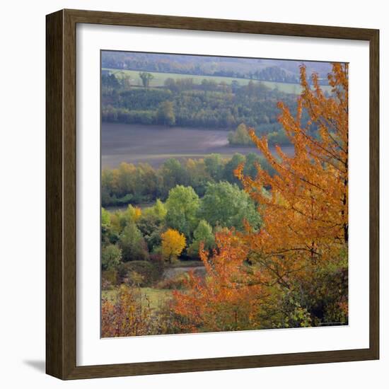 The North Downs, Near Dorking, Surrey, England, UK, Europe-Roy Rainford-Framed Photographic Print