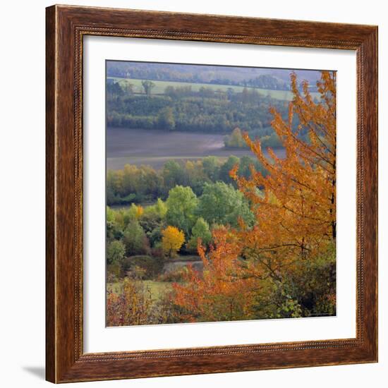 The North Downs, Near Dorking, Surrey, England, UK, Europe-Roy Rainford-Framed Photographic Print