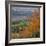 The North Downs, Near Dorking, Surrey, England, UK, Europe-Roy Rainford-Framed Photographic Print